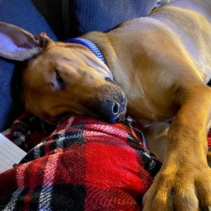 Meet your Posher, Yvonne